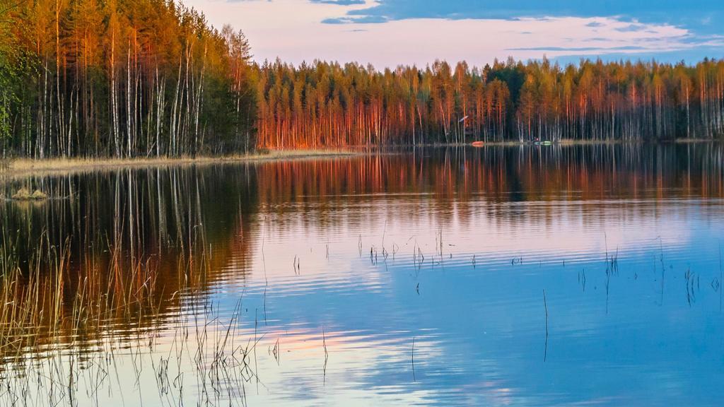 Rajan Loma Cottages Йоенсуу Екстер'єр фото