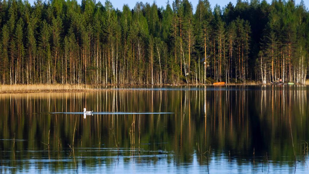 Rajan Loma Cottages Йоенсуу Екстер'єр фото