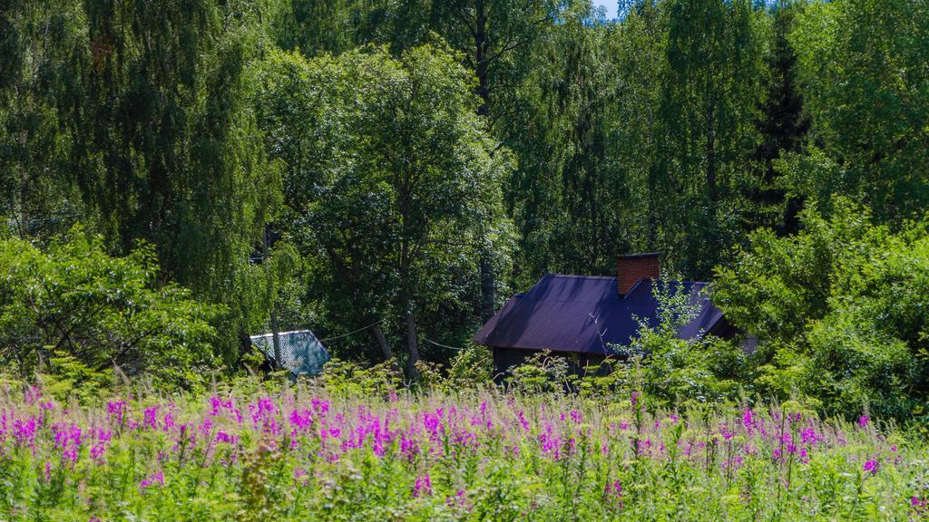 Rajan Loma Cottages Йоенсуу Екстер'єр фото