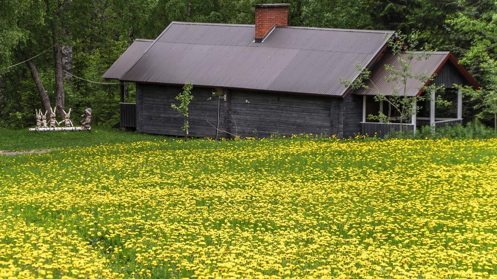 Rajan Loma Cottages Йоенсуу Екстер'єр фото