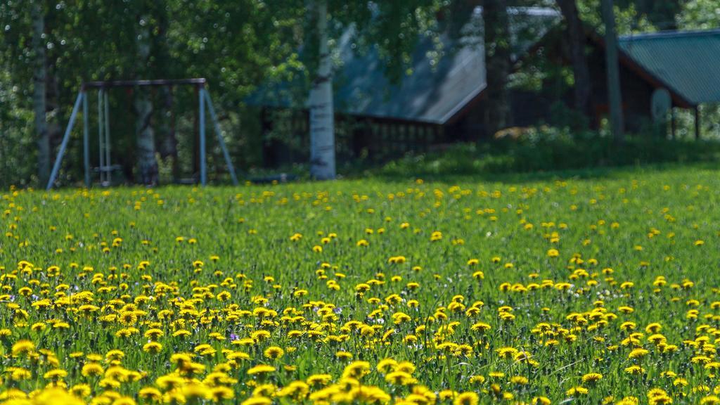 Rajan Loma Cottages Йоенсуу Номер фото
